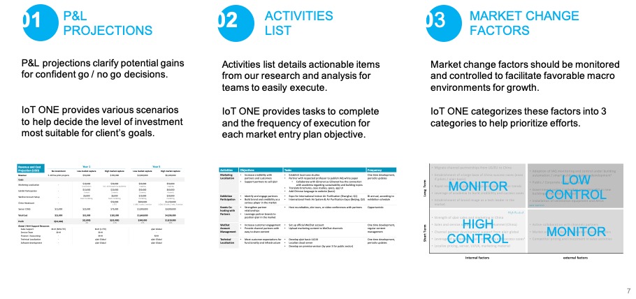 iotone market entry plan